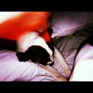 Meet your Posher, Denali